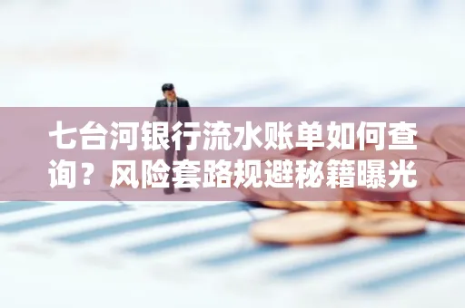 七台河银行流水账单如何查询?风险套路规避秘籍曝光?