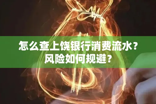 怎么查上饶银行消费流水?风险如何规避?