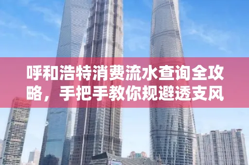 呼和浩特消费流水查询全攻略，手把手教你规避透支风险