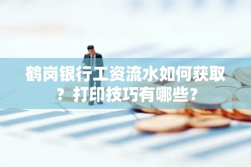 鹤岗银行工资流水如何获取?打印技巧有哪些?