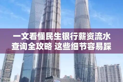 一文看懂民生银行薪资流水查询全攻略 这些细节容易踩雷
