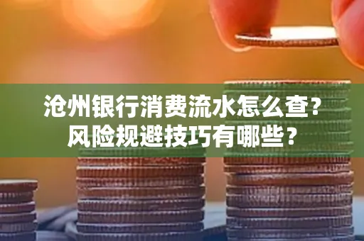 沧州银行消费流水怎么查?风险规避技巧有哪些?