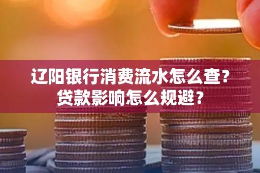 辽阳银行消费流水怎么查?贷款影响怎么规避?