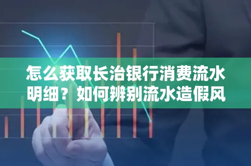 怎么获取长治银行消费流水明细?如何辨别流水造假风险?