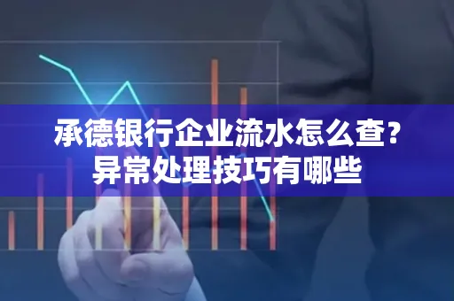 承德银行企业流水怎么查?异常处理技巧有哪些
