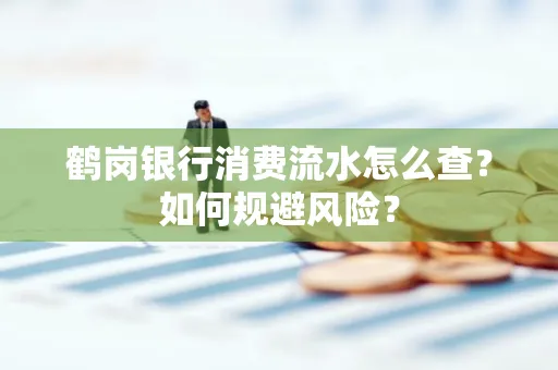 鹤岗银行消费流水怎么查?如何规避风险?