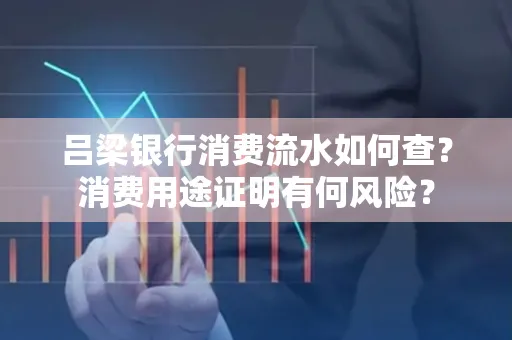 吕梁银行消费流水如何查?消费用途证明有何风险?