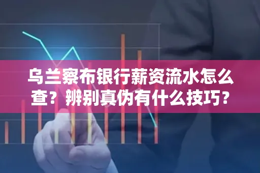 乌兰察布银行薪资流水怎么查?辨别真伪有什么技巧?