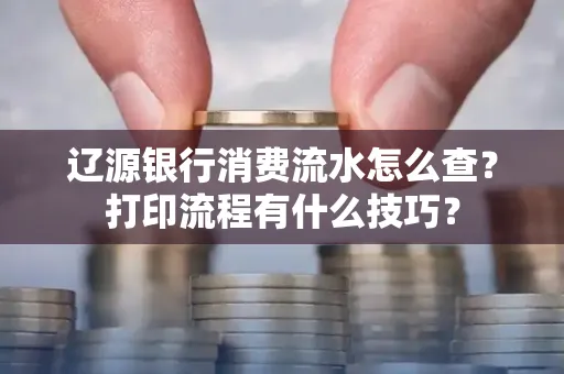 辽源银行消费流水怎么查?打印流程有什么技巧?
