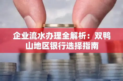 企业流水办理全解析：双鸭山地区银行选择指南