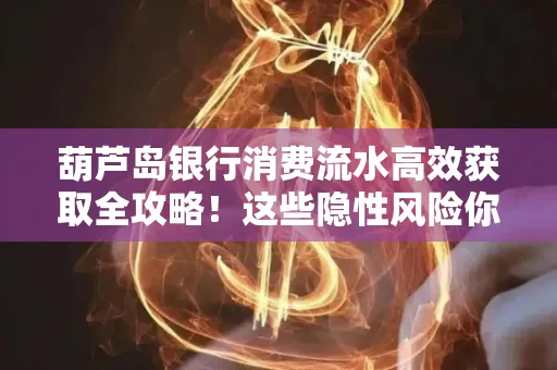 葫芦岛银行消费流水高效获取全攻略!这些隐性风险你必须知道