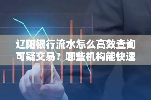 辽阳银行流水怎么高效查询可疑交易？哪些机构能快速分析账单风险？