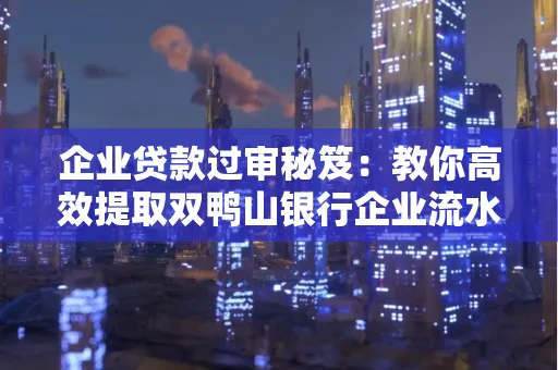 企业贷款过审秘笈：教你高效提取双鸭山银行企业流水