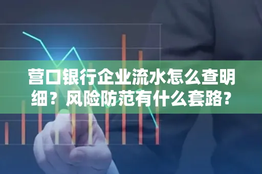 营口银行企业流水怎么查明细?风险防范有什么套路?