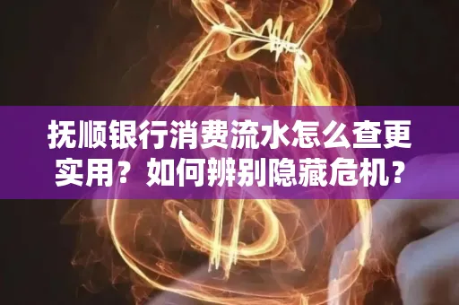 抚顺银行消费流水怎么查更实用?如何辨别隐藏危机?