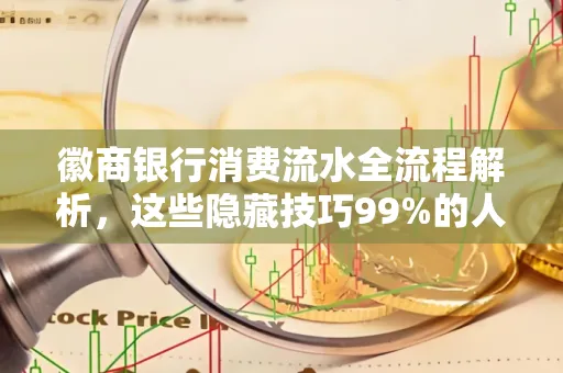 徽商银行消费流水全流程解析，这些隐藏技巧99%的人不知道