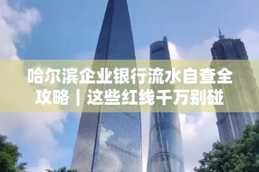 哈尔滨企业银行流水自查全攻略|这些红线千万别碰