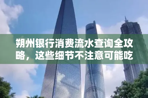 朔州银行消费流水查询全攻略,这些细节不注意可能吃大亏