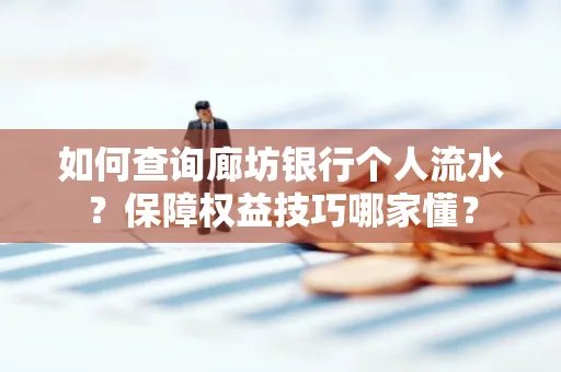 如何查询廊坊银行个人流水?保障权益技巧哪家懂?