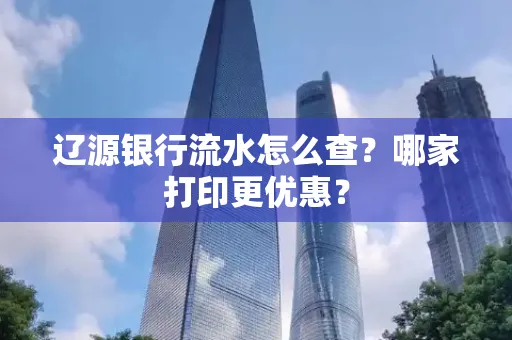 辽源银行流水怎么查?哪家打印更优惠?
