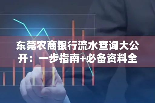 东莞农商银行流水查询大公开:一步指南+必备资料全解读