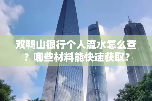双鸭山银行个人流水怎么查?哪些材料能快速获取?
