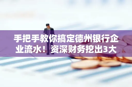 手把手教你搞定德州银行企业流水!资深财务挖出3大隐藏风险点