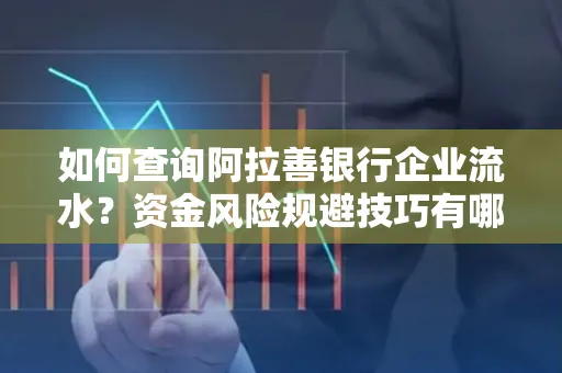 如何查询阿拉善银行企业流水?资金风险规避技巧有哪些?