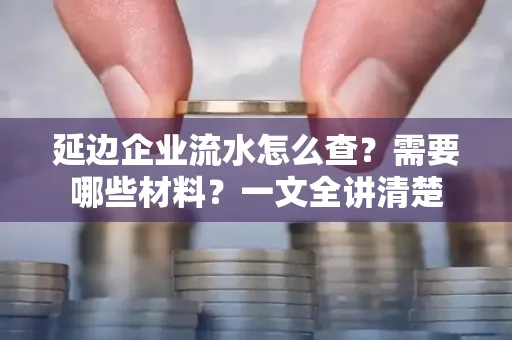 延边企业流水怎么查?需要哪些材料?一文全讲清楚