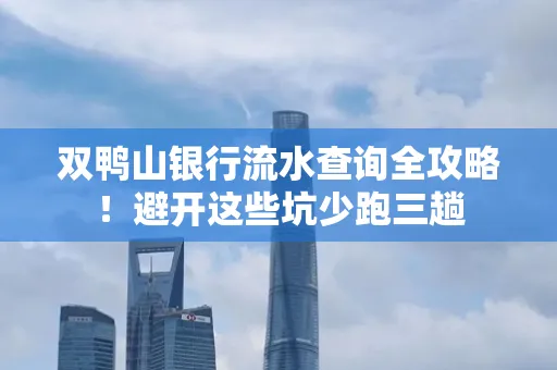 双鸭山银行流水查询全攻略!避开这些坑少跑三趟