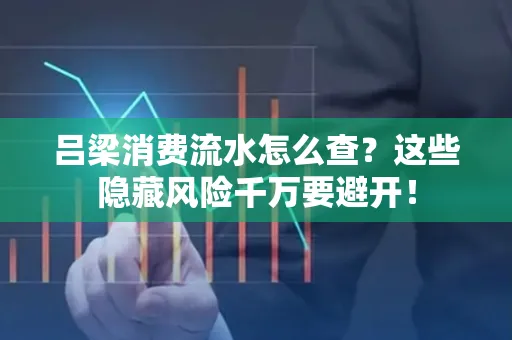 吕梁消费流水怎么查?这些隐藏风险千万要避开!