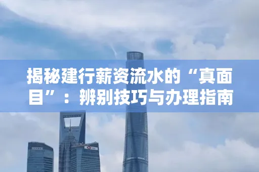 揭秘建行薪资流水的“真面目”:辨别技巧与办理指南大公开