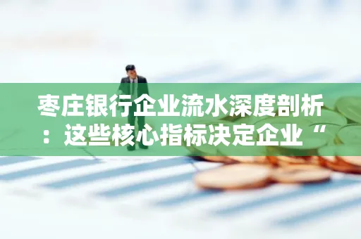 枣庄银行企业流水深度剖析:这些核心指标决定企业“钱袋子”健康度