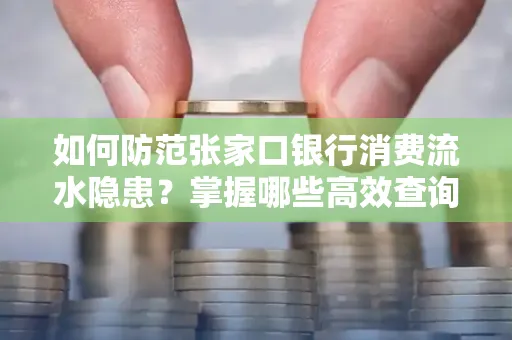 如何防范张家口银行消费流水隐患?掌握哪些高效查询技巧?