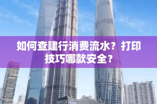 如何查建行消费流水?打印技巧哪款安全?